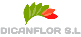 Dicanflor